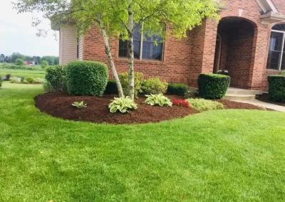Incredible Landscape Services