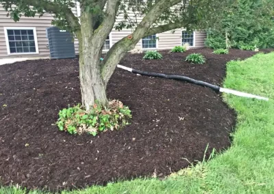 Notable Landscape Services