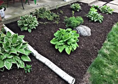 Quality Landscape Services