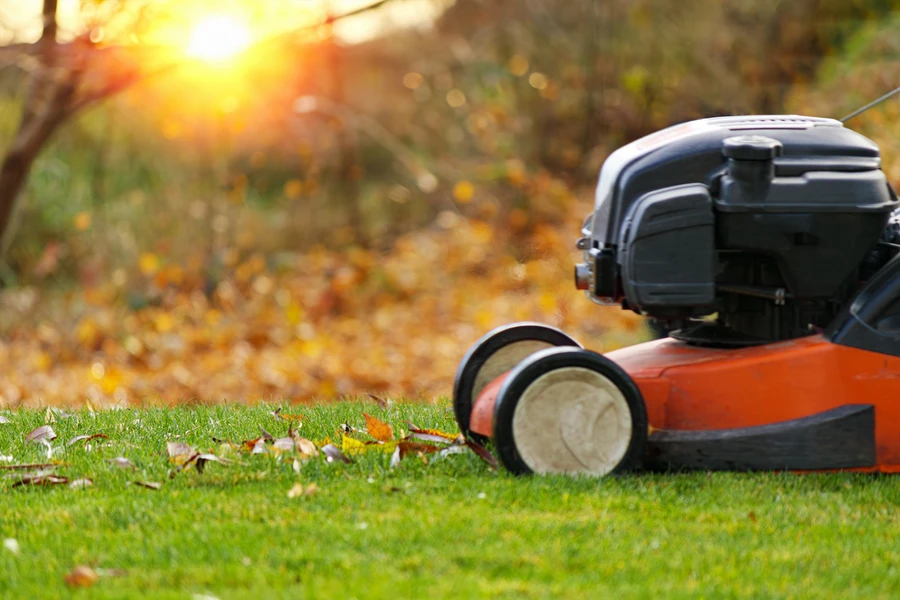 How Lawn Care Services Keep Your Yard Healthy Year-round in Sycamore, IL