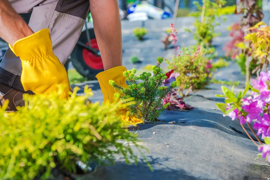 The Importance Of Seasonal Maintenance In Gardening Services in Sycamore, IL